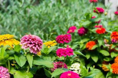 Chestnut Grove Design Group, Inc. - Patio Design & Installation in Woburn, MA
