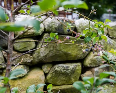Chestnut Grove Design Group, Inc. - Patio Design & Installation in Woburn, MA