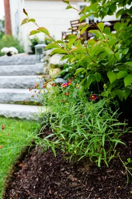 Chestnut Grove Design Group, Inc. - Patio Design & Installation in Woburn, MA