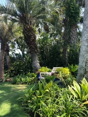 Vie Plant and Garden Design - Patio Design & Installation in Jacksonville Beach, FL