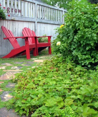 Hidden Springs — Landscape Design project by Chuck B Edwards Landscape Architecture & 3D