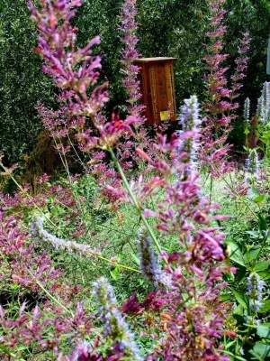 Farwest Landscape Design - Boise - Landscape Construction in Boise, ID