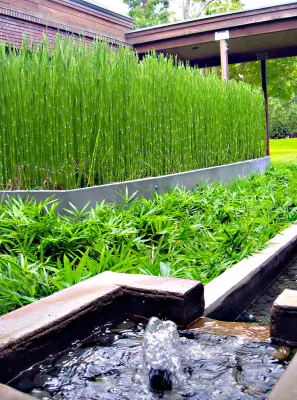 Knaak Design Group - Landscape Design in Naples, FL