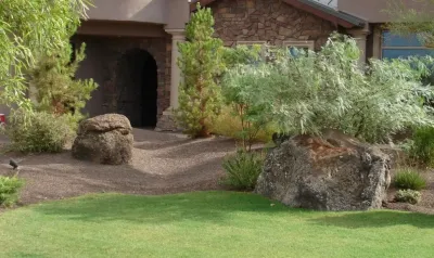 Ferti-Bloom - Landscape Construction in Phoenix, AZ