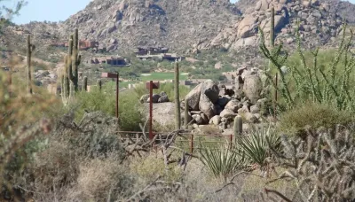 Ferti-Bloom - Landscape Construction in Phoenix, AZ