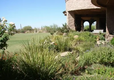 Ferti-Bloom - Landscape Construction in Phoenix, AZ
