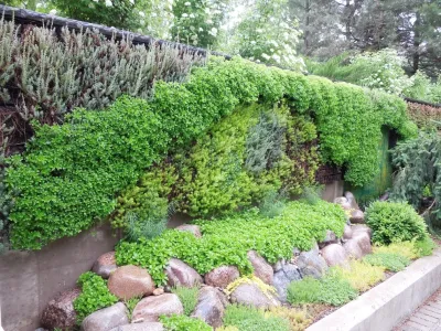 Vertical garden — Landscape Construction project by Fiddlehead Gardens LLC