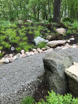 Contemporary shade garden — Landscape Construction project by Fiddlehead Gardens LLC