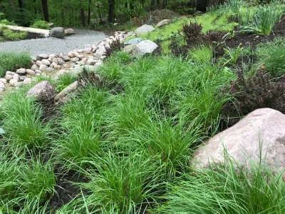 Fiddlehead Gardens LLC - Landscape Construction in Iowa City, IA