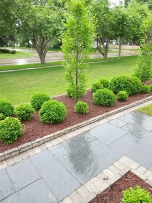 Slate design/build — Landscape Construction project by Fiddlehead Gardens LLC