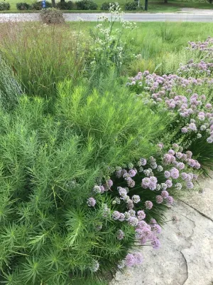 Linder road — Landscape Construction project by Fiddlehead Gardens LLC