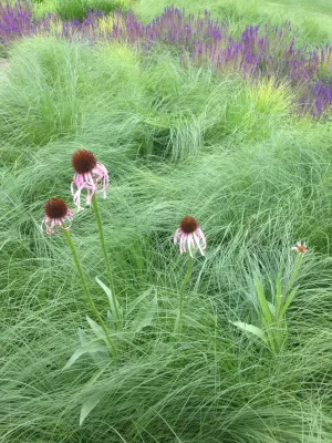 Fiddlehead Gardens LLC - Landscape Construction in Iowa City, IA