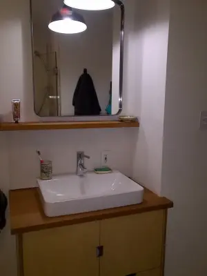 Tailored bathroom renovation — Design-Build Services project by Detroit House Carpentry