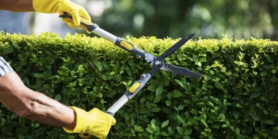 Yosemite Irrigation and Landscaping, Inc. - Irrigation System Repair in Saint Augustine, FL