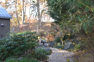Young's Legacy Landscaping - Land Cleaning in Newtown, CT