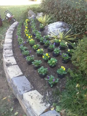 Four Seasons Atlanta Lawn care, LLC - Landscape Construction in Atlanta, GA