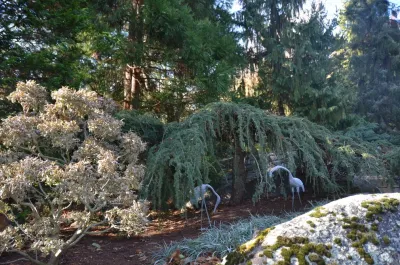 Young's Legacy Landscaping - Land Cleaning in Newtown, CT