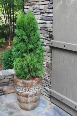 TLC Design/Build LLC - Commercial Construction Services in Auburn, AL