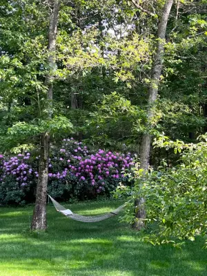 Just Imagine LLC - Design-Build Services in Concord, MA