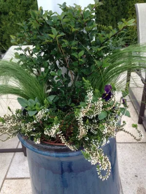 Chinick Landscaping & Nursery - Irrigation System Repair in Portland, OR