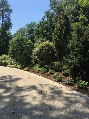 Young's Legacy Landscaping - Land Cleaning in Newtown, CT