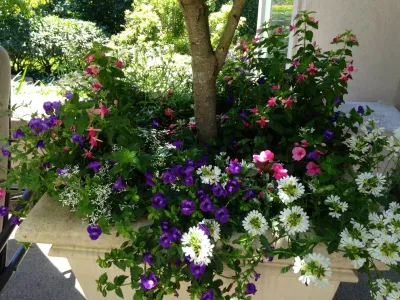 Chinick Landscaping & Nursery - Irrigation System Repair in Portland, OR