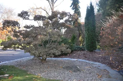 Young's Legacy Landscaping - Land Cleaning in Newtown, CT
