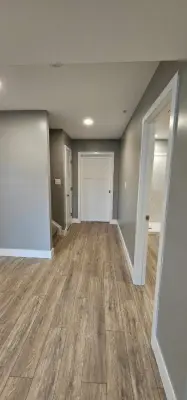 Completed Lower Level — Design-Build Services project by Remodel Max, LLC