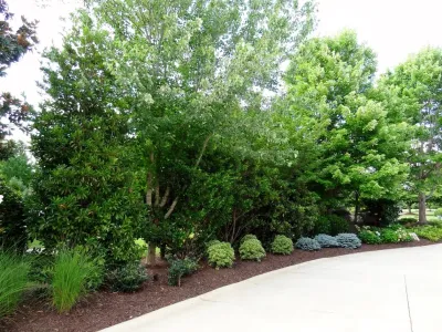 Ken-Mark Turf, Inc. - Landscape Construction in Alpharetta, GA