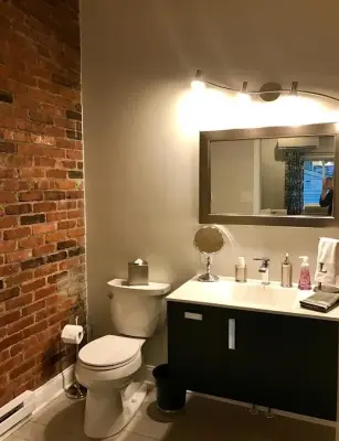 Garrone Bath and Living Area — Design-Build Services project by Johnston Remodeling