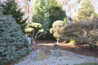 Young's Legacy Landscaping - Land Cleaning in Newtown, CT