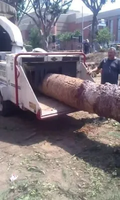 tree serice — Landscape Construction project by Krueger Property Investments