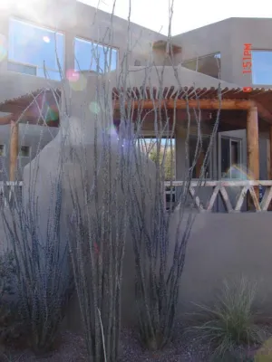 Land Art Works, Inc. - Landscape Construction in 