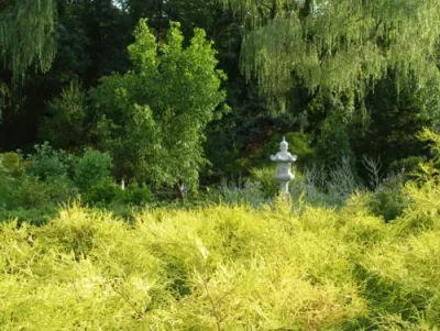LandArt Impression, Inc. - Landscape Construction in Silver Spring, MD