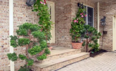 Past Projects — Landscape Construction project by LandArt Impression, Inc.