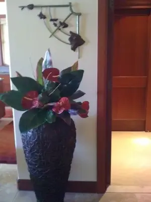 Designs by MDM Hawaii - Kitchen Remodeling in Honokaa, HI