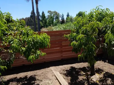 Fencing Project — Carpentry & Woodworking project by Teaham Construction