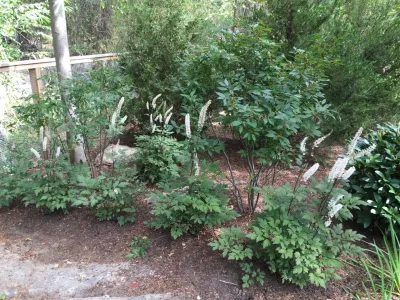 Christensen Landscape Services - Garden Remodeling in Northford, CT