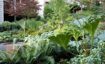 Mosaic Gardens - Custom Home Builders in Eugene, OR