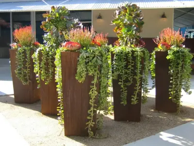 Backyard Guru - Interior Design & Decorating in Lawrence, KS