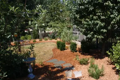 Stunning Outdoor Landscaping Initiative by Second Nature Outdoor Living & Landscaping