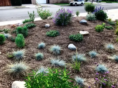 H2 XERO Landscape Design - Landscape Design in Aliso Viejo, CA