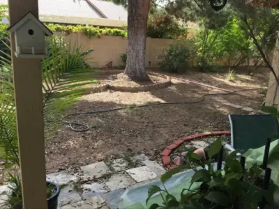 Landscaping Authority, LLC - Tree & Shrub Care in Phoenix, AZ