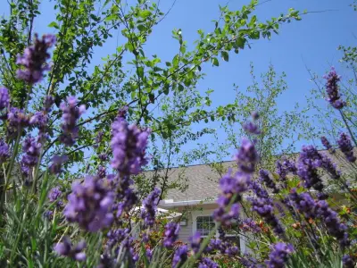 Zaretsky and Associates, Inc. - Landscape Design in Macedon, NY
