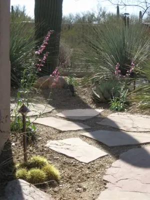 MODERN ART — Landscape Design project by Landscape Design West, LLC