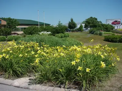 Concepts In Design Inc - Landscape - Patio Design & Installation in Des Moines, IA