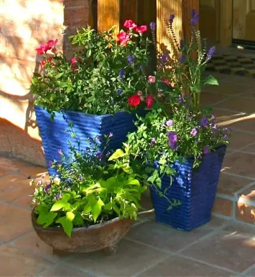 Garden Artistry - Landscape Design in Tucson, AZ