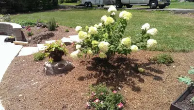 Wildwood Land Design - Landscape Design in Knoxville, TN