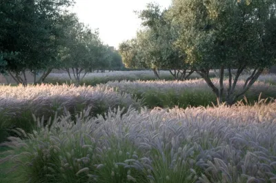 Christian Deshaies Landscape Architect - Landscape Design in San Francisco Bay Area, CA