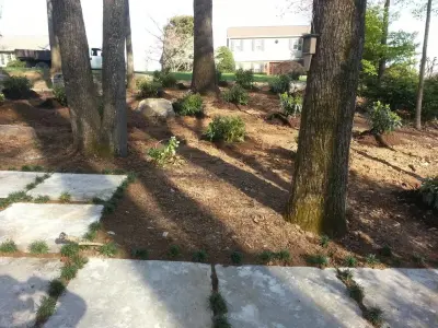 Digsby — Landscape Design project by Wildwood Land Design